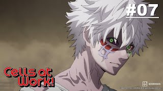 [Hindi Dub] Cells at Work! - Episode 07 (S1E07)  | Muse IN