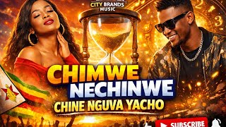 Chimwe Nechinwe Chine Nguwa Yacho 🔥 | Powerful Zimbabwean Gospel Song 2026 | City Brands Music