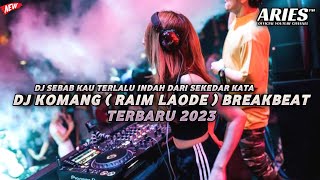 DJ SEBAB KAU TERLALU INDAH DARI SEKEDAR KATA BREAKBEAT TERBARU 2023