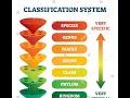 Order, Class, Phylum &amp; Zoological Nomenclature