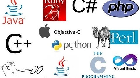 Top 4 Programming Languages to Learn to Get a Job | JavaScript | Python | Go | Java