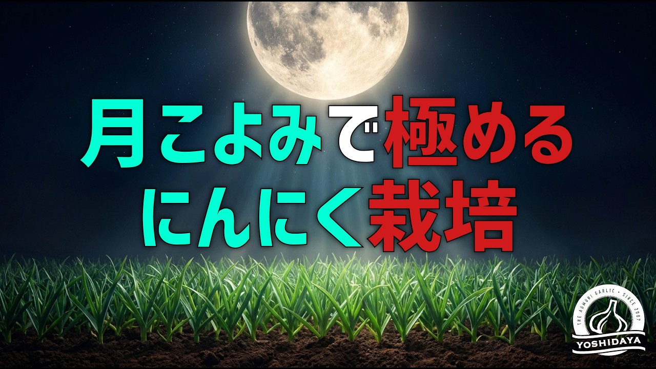 YouTube YouTube