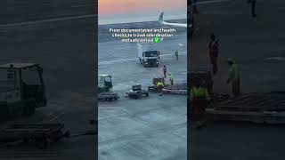 🌍✈️ International Pet Relocation from India—Done Right 🐾