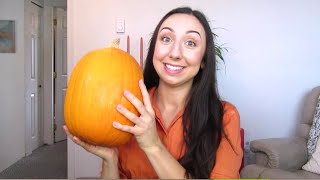 S.T.E.A.M. Team Tuesdays: Dissolving Pumpkins Experiment