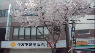 DSCF1770