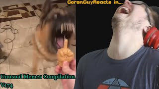 (BEST COMPILATION SO FAR!) Unusual Memes Compilation V174 - GoronGuyReacts