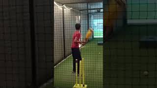 cricket game #gaming
