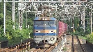 北陸本線 3096レ 貨物列車 EF510-503牽引 新疋田駅通過 /Japanese Freight Train JR Class EF510 Electric Locomotive