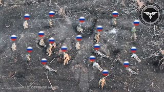 Horrifying Moments! How Ukrainian FPV Drones Destroy Russian Infantry Columns on Avdiivka Front Line