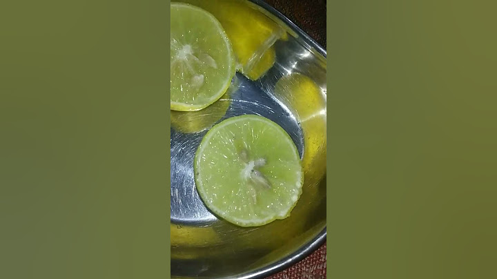 उल्टी आने से पहले यह करो उपाय