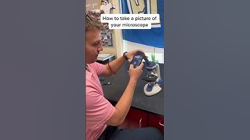 How to use your phone to take an image of your microscope