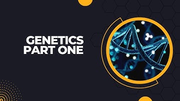 Grade 12 Life Sciences:Genetics and Inheritance (part one)