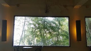 바람소리ASMR - 부산 영도 카페 「신기숲」