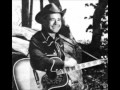 The australian hillbilly   buddy williams