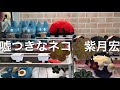 竹島宏さんの『嘘つきなネコ』を歌わせて頂きました😊🐈