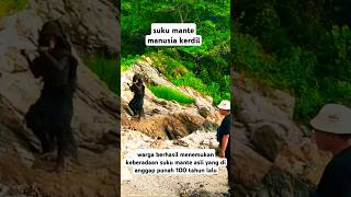 suku mante asli asal Sumatera