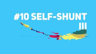 Rigor Talks - PHP - #10 - Self-Shunt III (Spanish)
