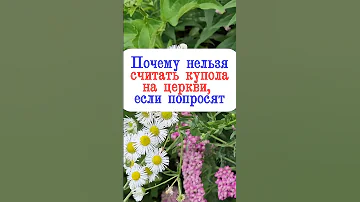 Почему нельзя считать купола на церкви, если попросят?