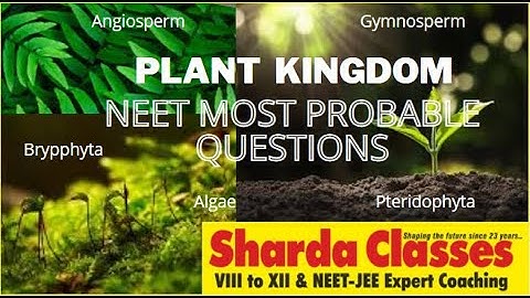 Kingdom Plantae  NCERT Revision | #NEET2021 Most Probable Question | Sharda Classes, Expert Coaching