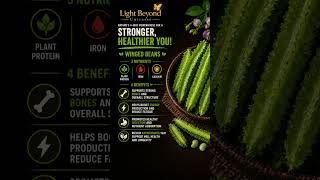 Winged Beans 🌱 Nature’s 4-Way Powerhouse for a Stronger, Healthier You!     ( Part 8 )