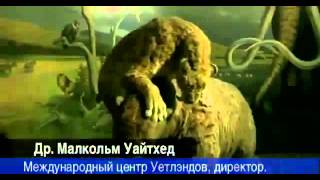 'Тайны глубин Чёрного моря' // Dark sekrets of the Black Sea 'Тайны глубин Чёрного моря' // Dark sekrets of the Black Sea