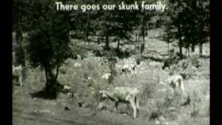The Adventures of Willie Skunk (One of the first captioned educational films, 1962)