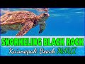 Best Snorkeling in Kaanapali Maui Black Rock Swimming With Sea Turtles in Hawaii Cliff Jumping
