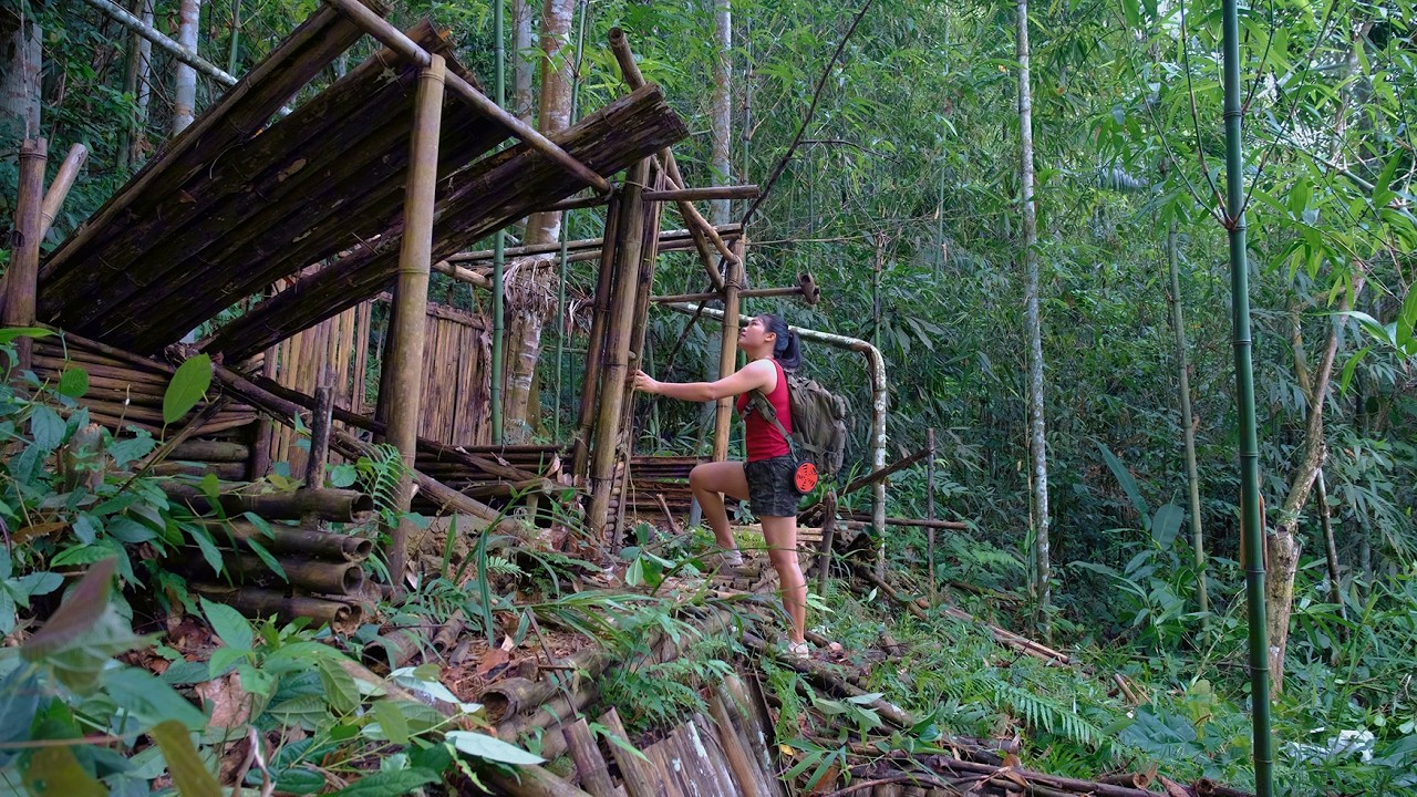 Building a Tree House in the Forest | Primitive Survival Life Alone