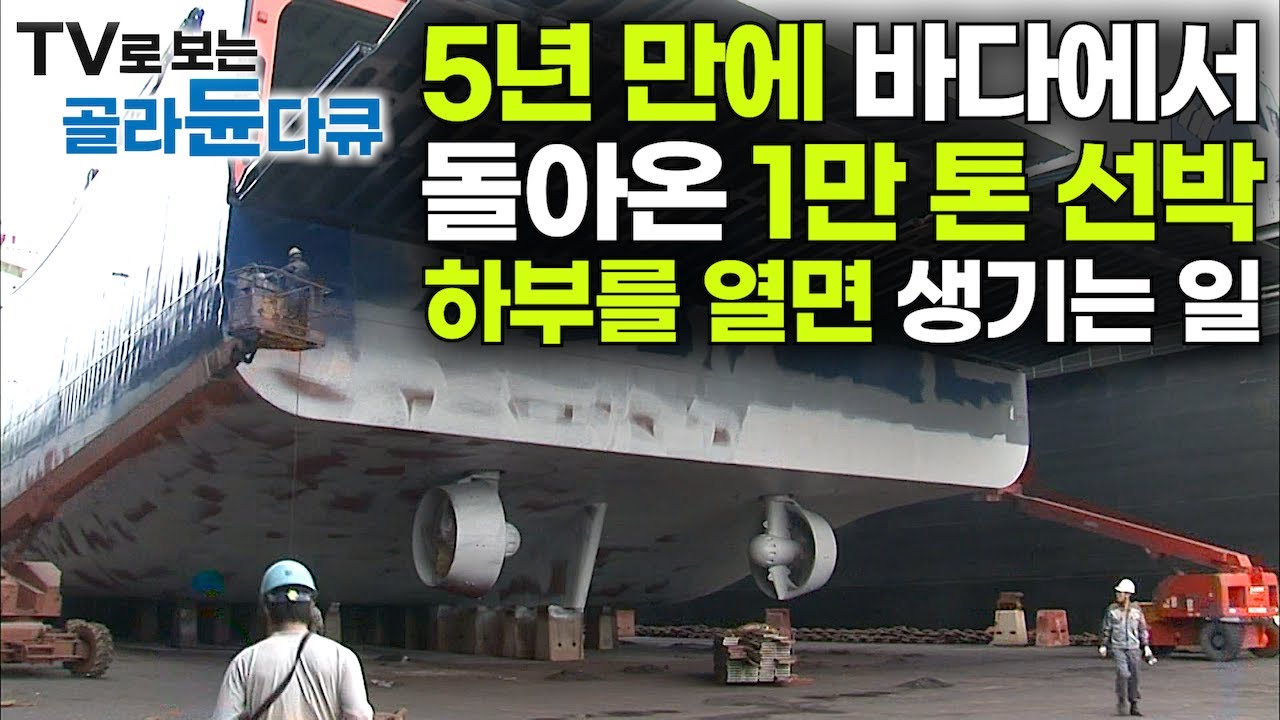 바다 위에서 5년. 1만 톤 급 대형 선박 정기 점검받으러 돌아왔습니다｜겉부터 속까지 항목만 수 백여가지!｜8일간의 수리 대장정｜한국의 선박 수리 조선소｜극한직업｜#골라듄다큐