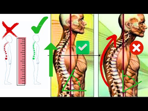 THE PERFECT 5 MINUTS POSTURE ROUTINE EXERCISE|INCREASE HIGHT |BACK PAIN PROBLEM SOLUTION|