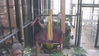 Apsu An Arums Athena. 43 Hours In 33 Seconds.