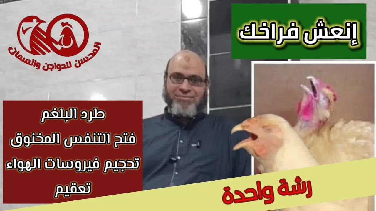 رشة على فراخك تفتح مجاري التنفس المسدودة🤧وتطرد البلغم والمايكوبلازما وتحمي عنبرك من فيروسات الهواء