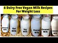 6 Dairy Free Vegan Milk Recipes | Almond, Peanut, Oats, Coconut, Soy Milk Recipes | For Weight Loss