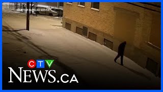 Famous Prince Albert police release surveillance video in arson investigation Wealth