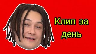 Morgershtern Дикий