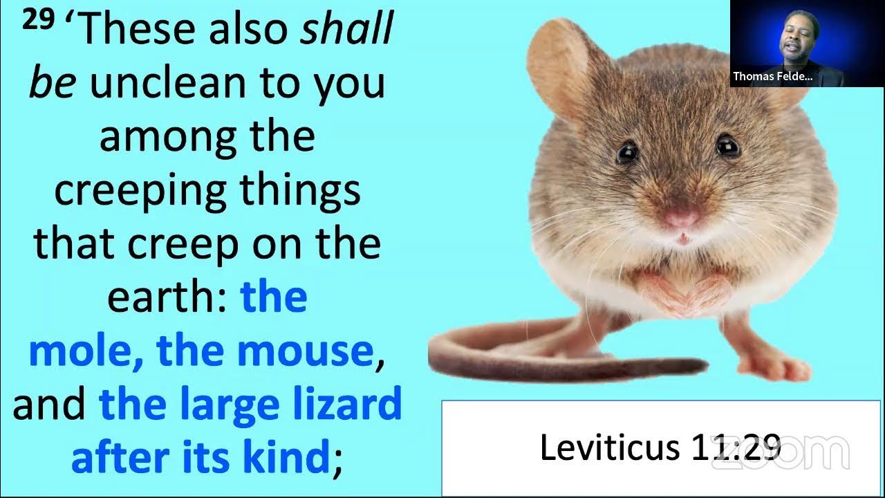 Leviticus 11 Clean And Unclean Animals Cover2Cover Bible Study leviticus-11-clean-and-unclean-animals-cover2cover-bible-study