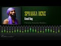 Capture de la vidéo Spragga Benz - Good Day (Peanie Peanie Riddim) [Hd]