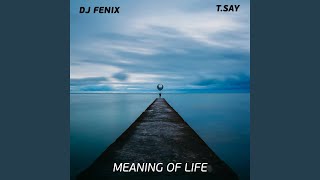 Meaning of Life (feat. T.Say)