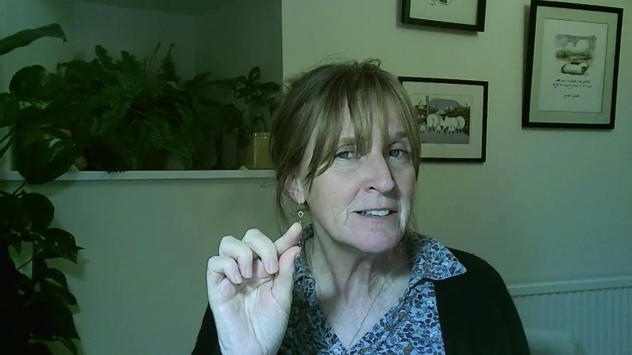 Emotional Safety Matters A Great Deal To Our 'Chimp' - here's why!