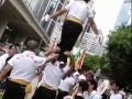 中外周家 2007年香港回歸10週年大巡遊 Jow Ga Lion Dance Part 2