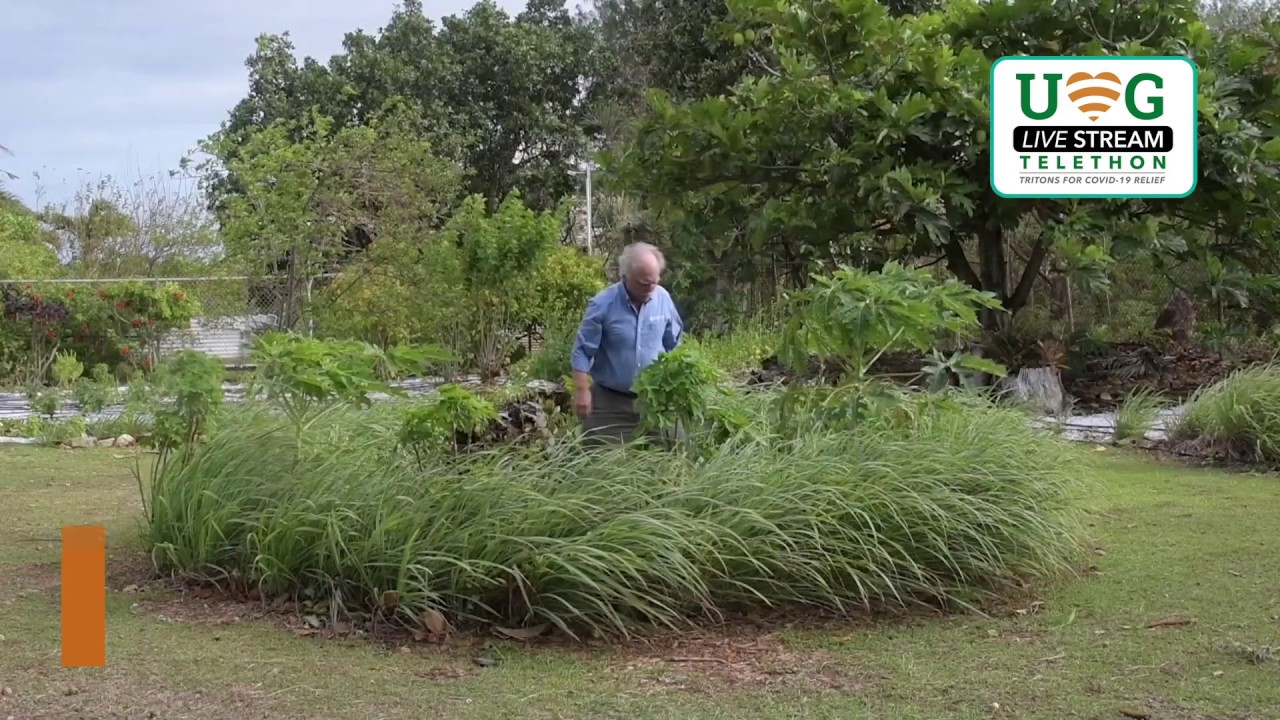 Home Gardening - Robert Barber, Ph.D.