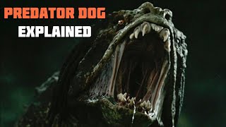 What are Predator Dogs?