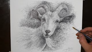 how to draw a goat pen and ink drawing