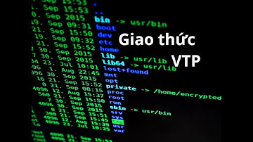 Bài 15.1: Giao thức VTP