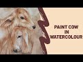 How to Paint Cow in WaterColour