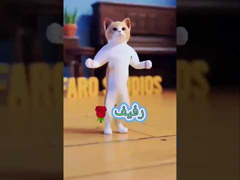 الاكتر طلبا رفيف العراق السعودية قطر الامارات الكويت البحرين اليمن الجزائر    رفيف