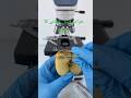 ,khrab apple,#shorts #youtubeshorts #microscope