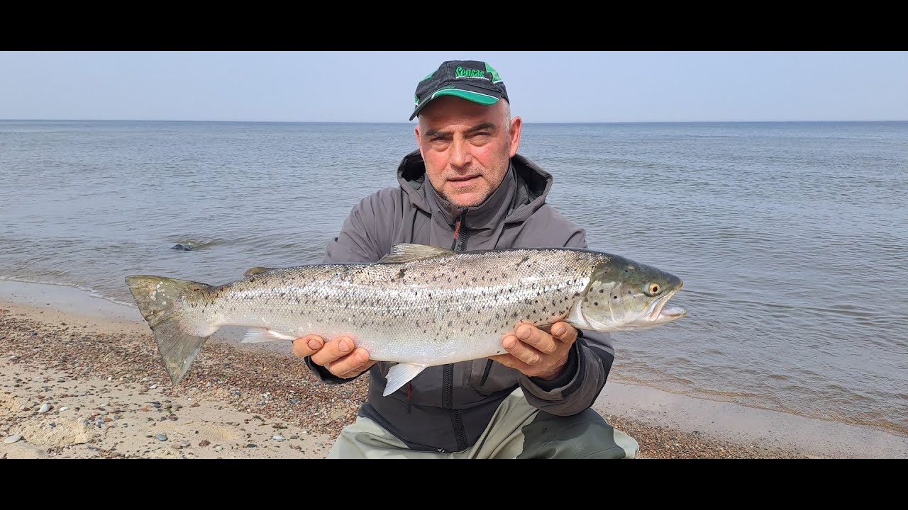 Bałtyckie Trocie 09 04 2024r