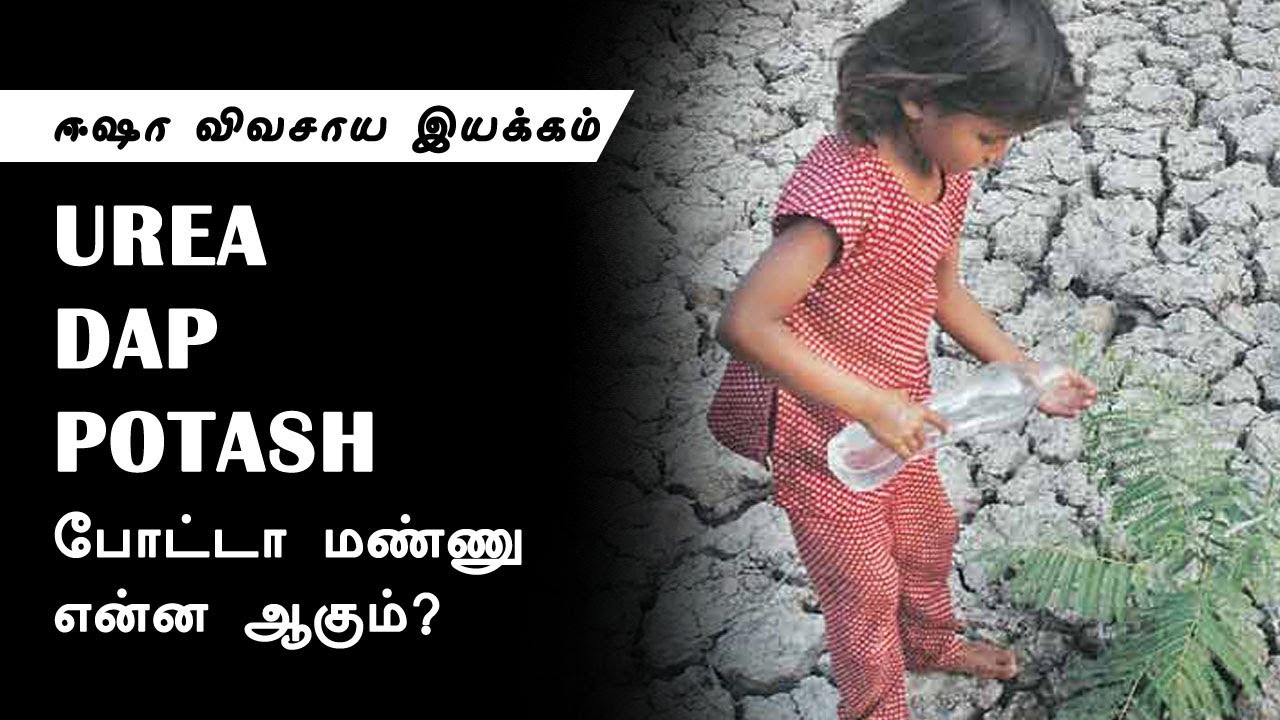 நம்மாழ்வார் Urea DAP Potash போட்ட மண்ணு என்ன ஆகும்? YouTube