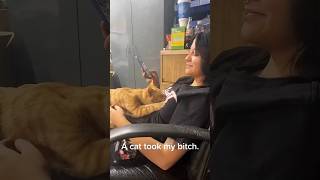 Funny Cats 😹 Episode 459 #Shorts